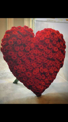 hart dicht rode rozen